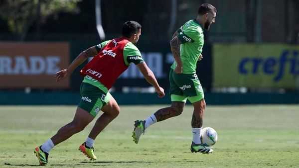 FOTO: Reprodução/Facebook(SE Palmeiras)