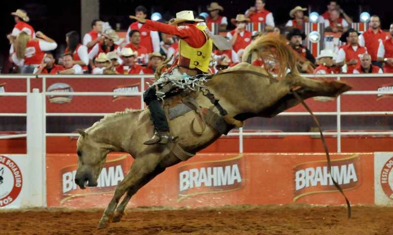 58ª Festa do Peão de Boiadeiro de Barretos